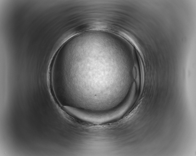 X0000088691050200705311153
