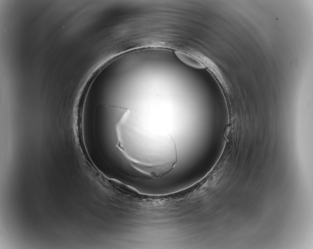 X0000088691051200705311153