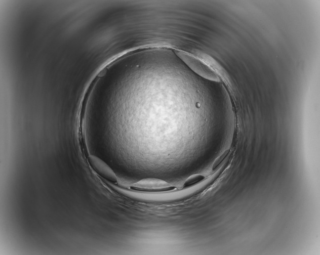X0000088691052200705311153
