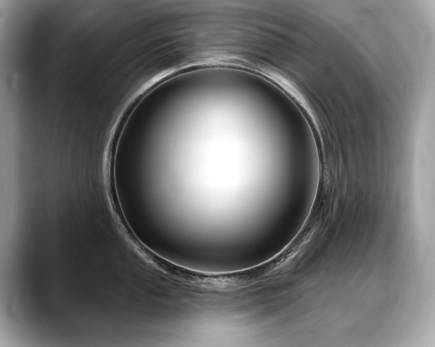X0000088691053200705311153
