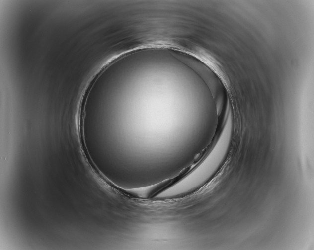 X0000088691054200705311153