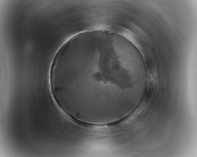 X0000088691055200705311153