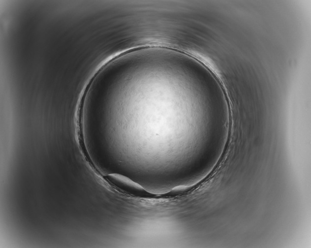 X0000088691056200705311153