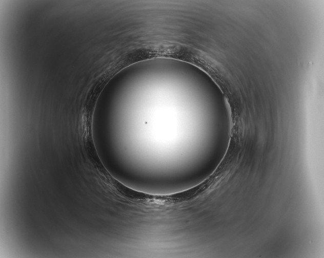 X0000088691058200705311152