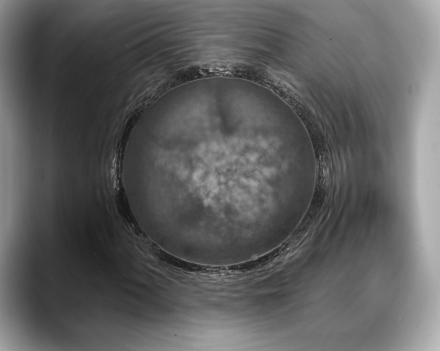 X0000088691060200705311152