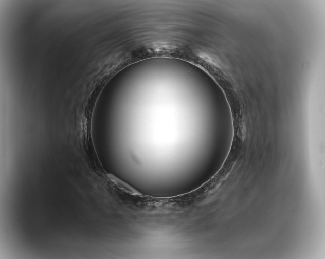 X0000088691061200705311152