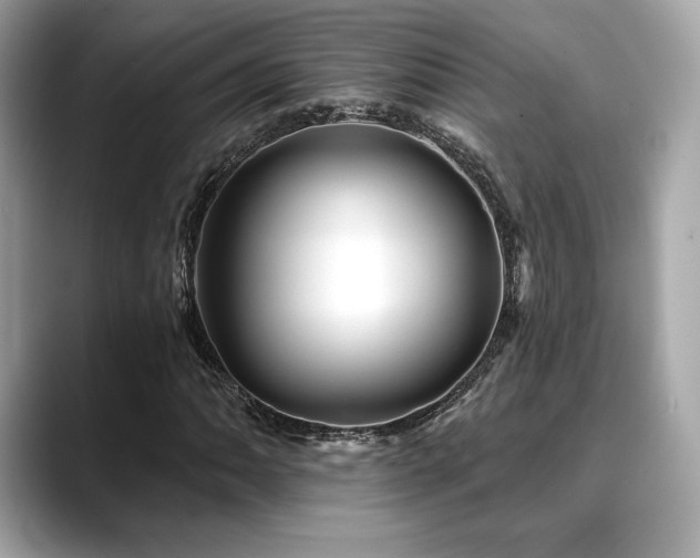 X0000088691062200705311152