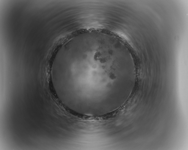 X0000088691063200705311152