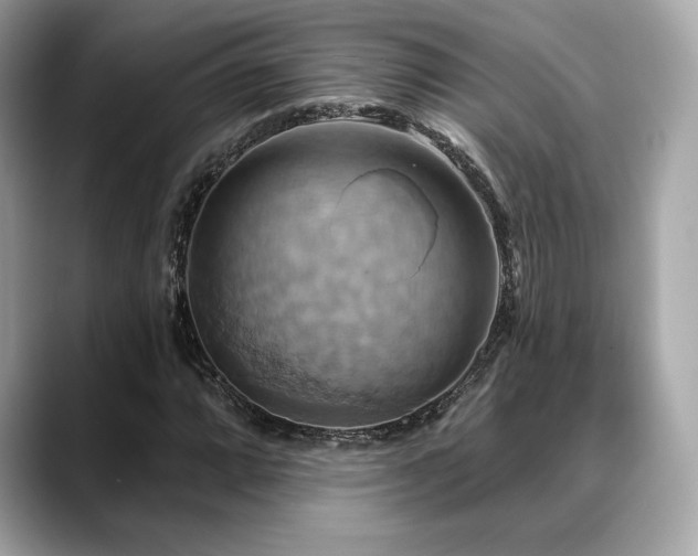 X0000088691064200705311152