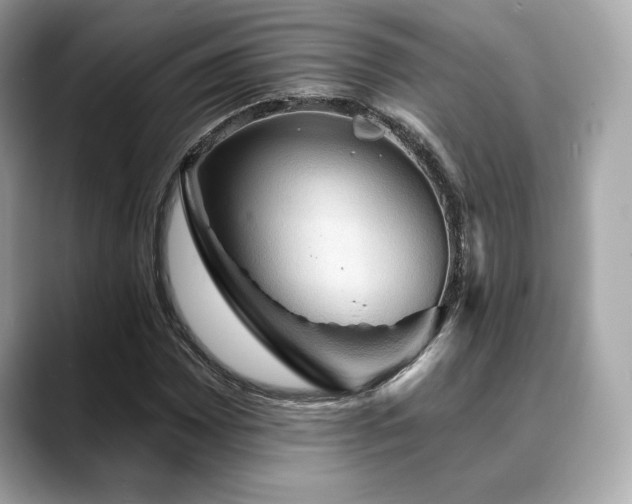X0000088691065200705311152