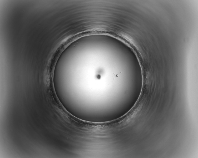 X0000088691067200705311152
