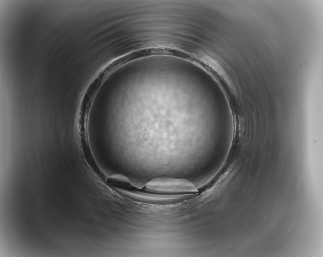 X0000088691068200705311152