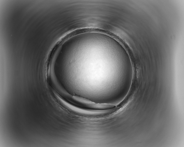 X0000088691069200705311152