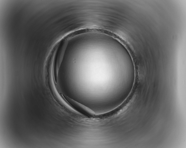 X0000088691070200705311152