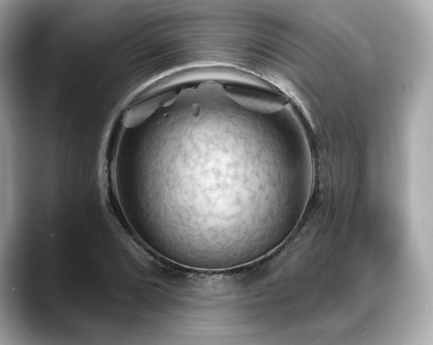 X0000088691072200705311152