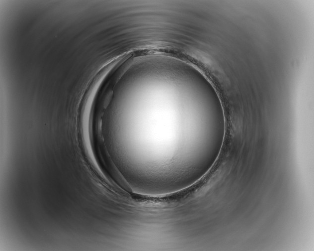 X0000088691073200705311152