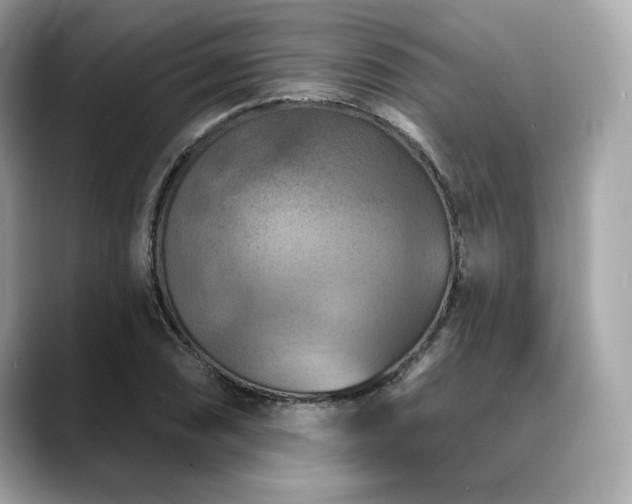 X0000088691074200705311152