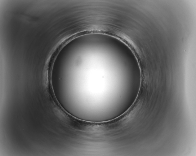 X0000088691075200705311152