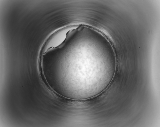 X0000088691076200705311152