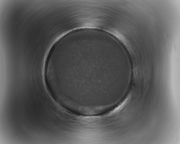 X0000088691077200705311152