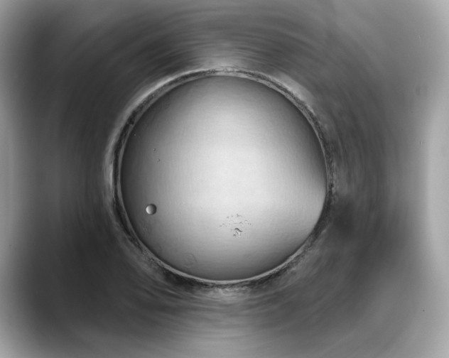 X0000088691078200705311152