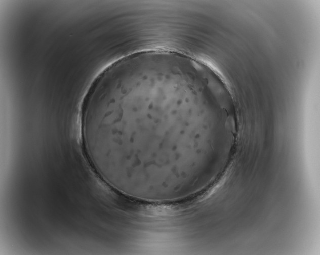 X0000088691079200705311152
