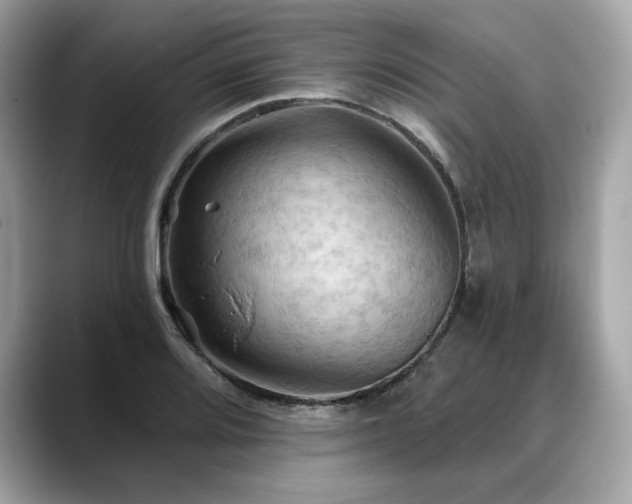 X0000088691080200705311152
