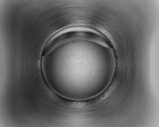 X0000088691081200705311152