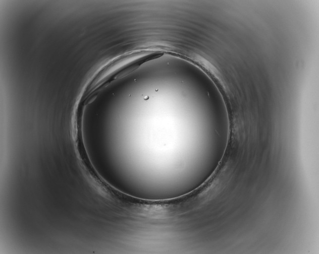 X0000088691082200705311152