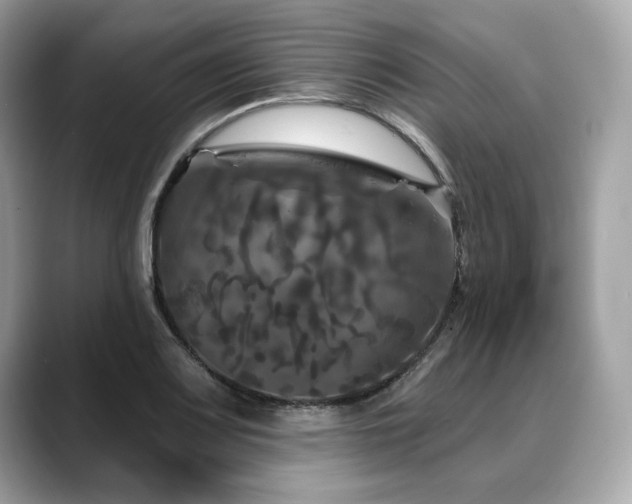 X0000088691083200705311152