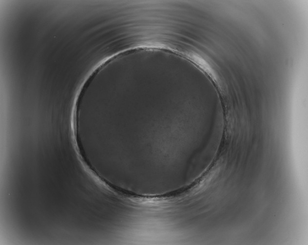 X0000088691084200705311152