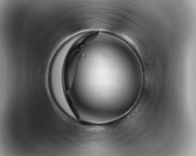 X0000088691085200705311152