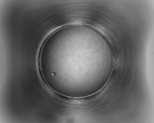 X0000088691086200705311152