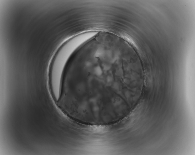 X0000088691087200705311152