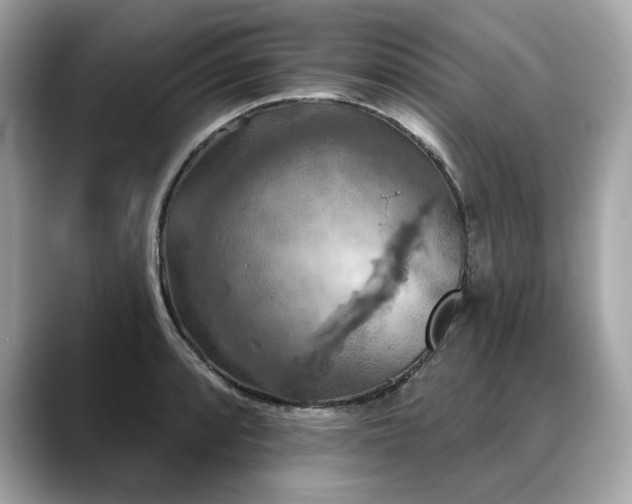 X0000088691088200705311152