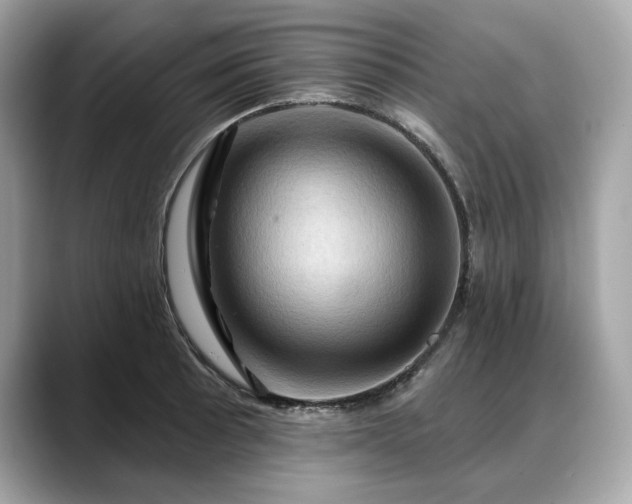 X0000088691089200705311152