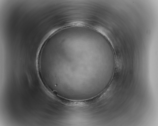 X0000088691090200705311152