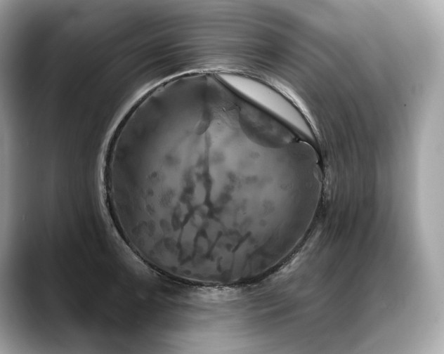 X0000088691091200705311152