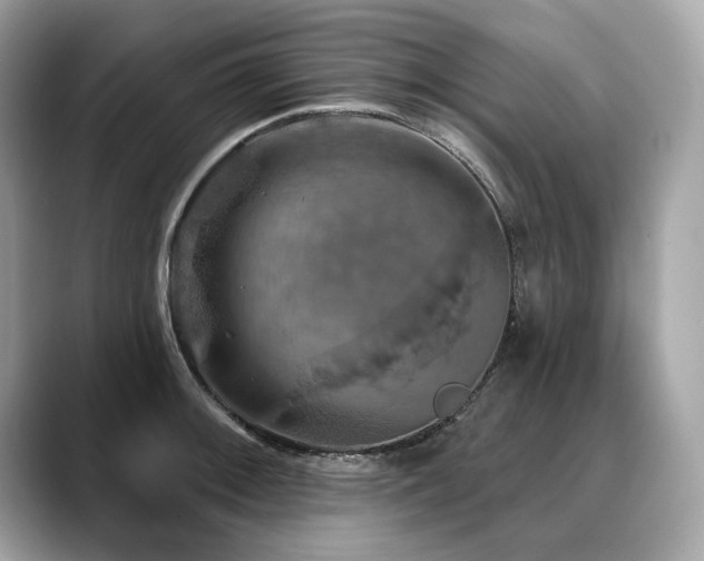 X0000088691092200705311152