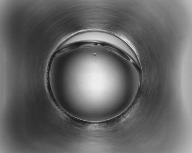 X0000088691093200705311152