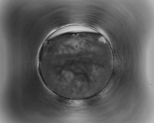 X0000088691095200705311152
