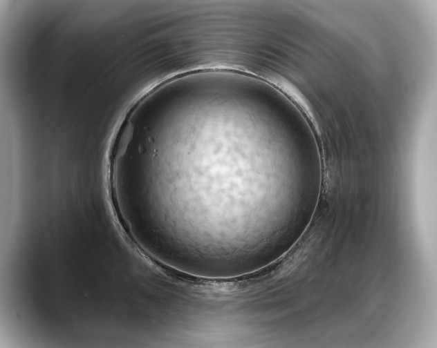 X0000088691096200705311152