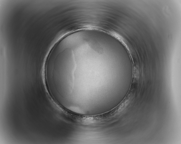 X0000088691098200705311152