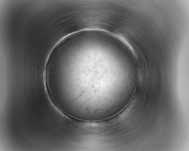 X0000088691100200705311152