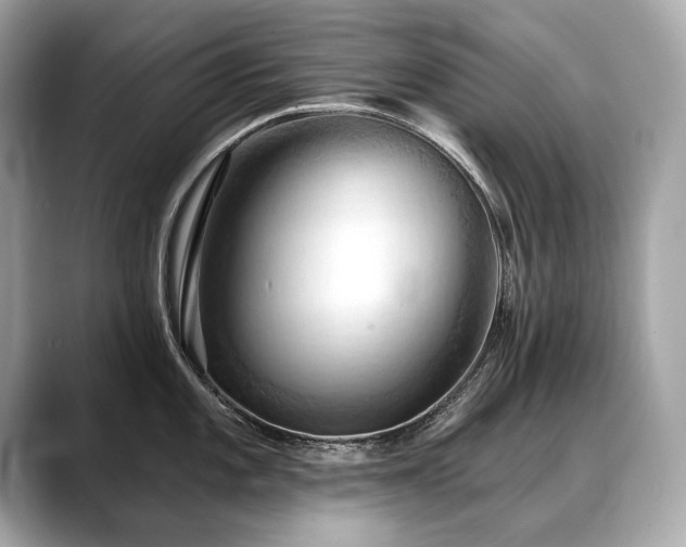 X0000088691101200705311152