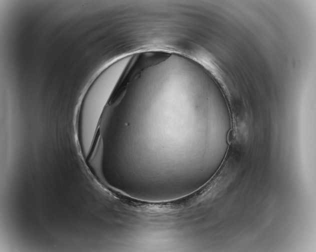 X0000088691102200705311152