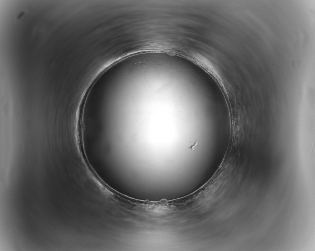 X0000088691103200705311152