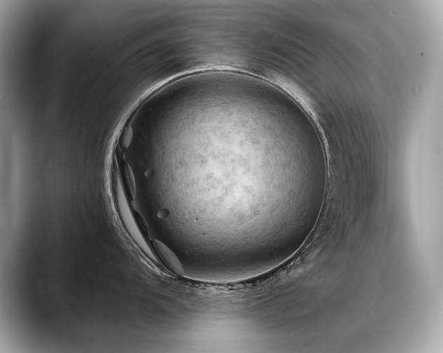 X0000088691104200705311152