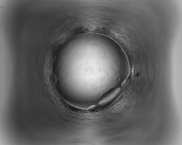 X0000088691105200705311151