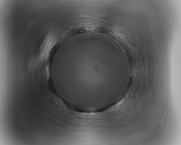X0000088691106200705311151